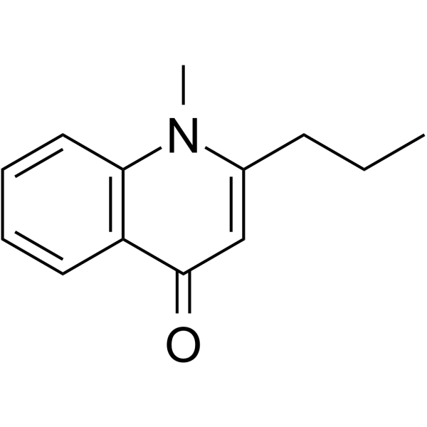 Leptomerine