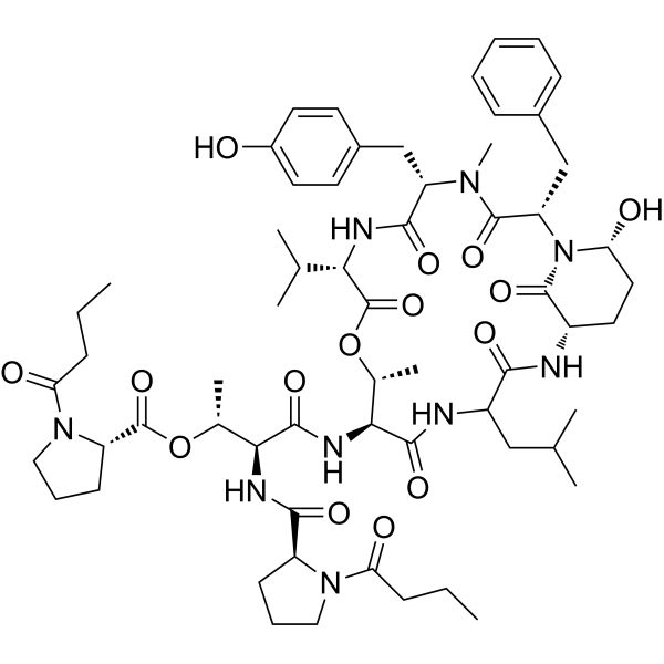 Rivulariapeptolides 1185