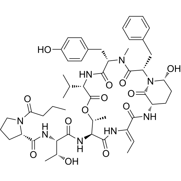 Rivulariapeptolides 988