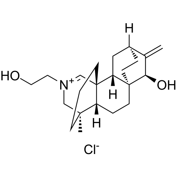 Guanfu base H