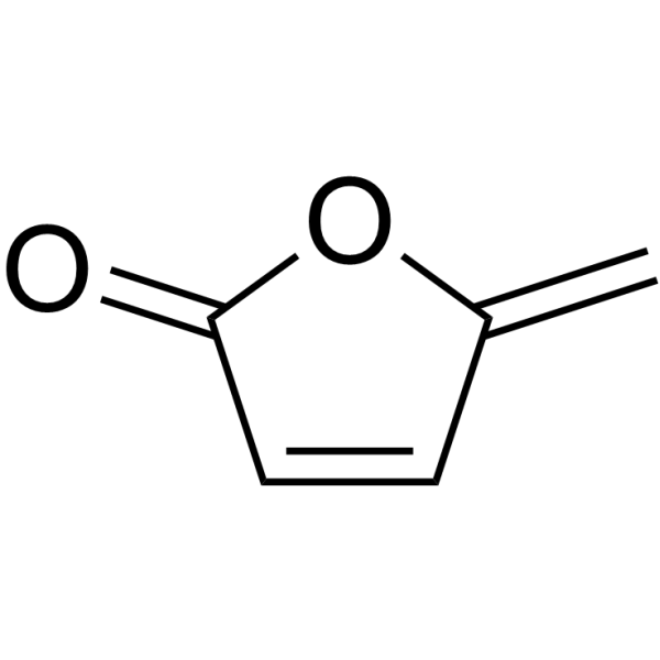Protoanemonene