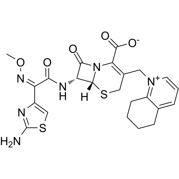Cefquinome
