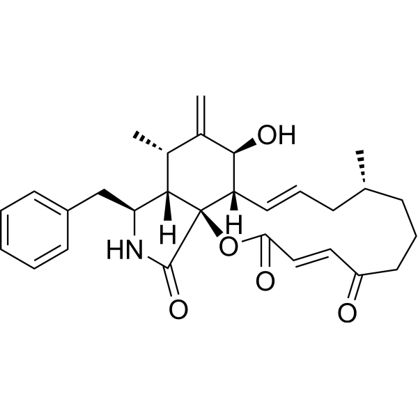 Cytochalasin A (Standard)