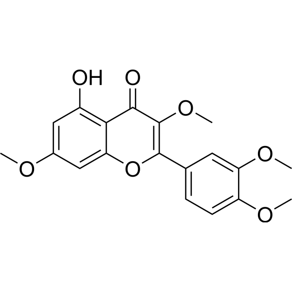 Retusin (Standard)