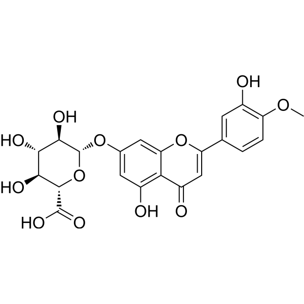 DiosMetin 7-O-β-D-Glucuronide (Standard)