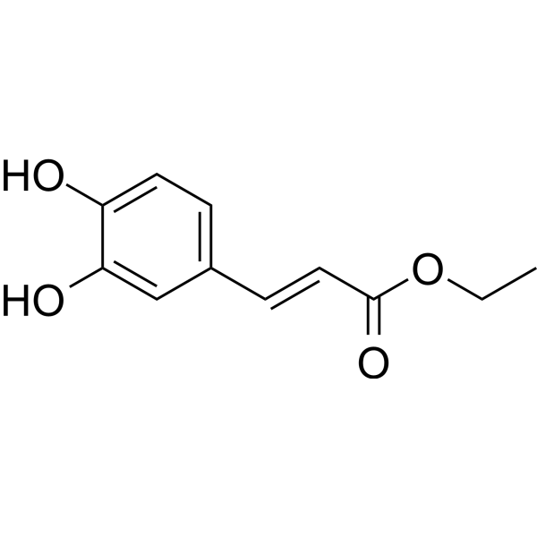 Ethyl trans-caffeate