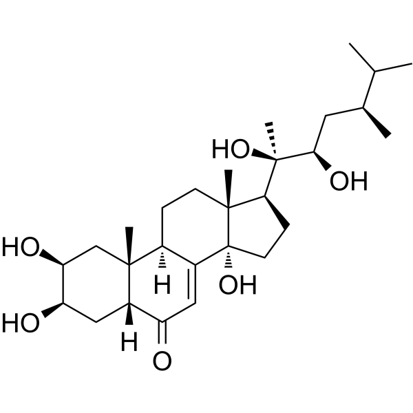 Polyporusterone A