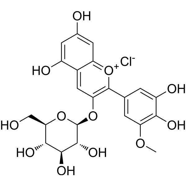 Petunidin-3-O-glucoside chloride (Standard)
