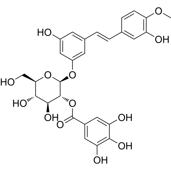 Rhaponticin 2′′-O-gallate