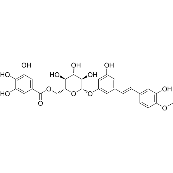 Rhaponticin 6′′-O-gallate