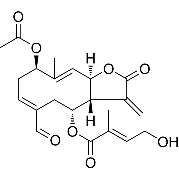 Eupalinolide O