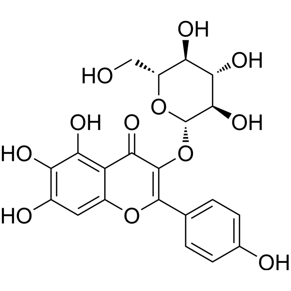 6-Hydroxykaempferol 3-O-β-D-glucoside