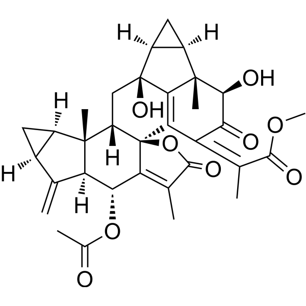 Chlorahololide C