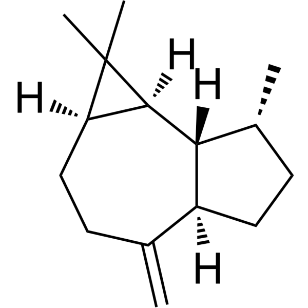 Aromadendrene (Standard)