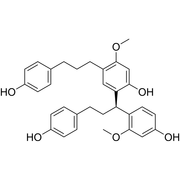 Anemarrhena B