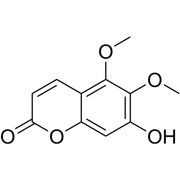 Umckalin (Standard)