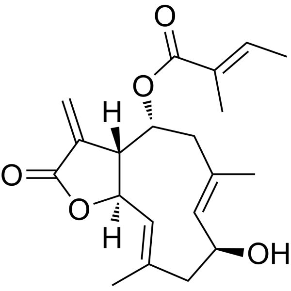 Mollisorin A