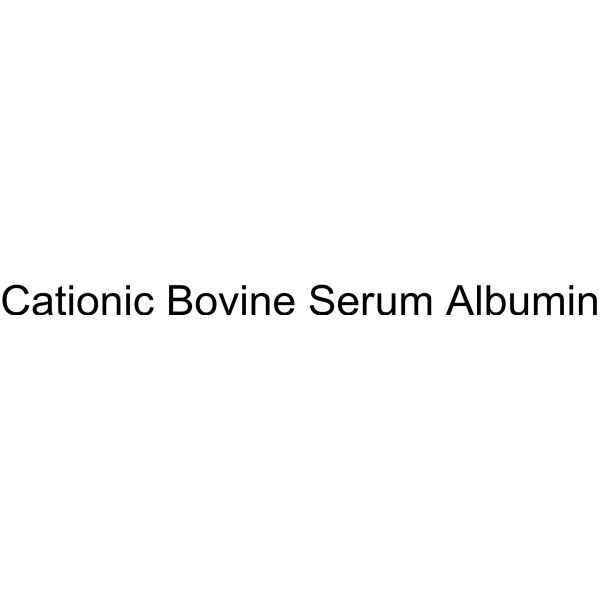 Cationic Bovine Serum Albumin