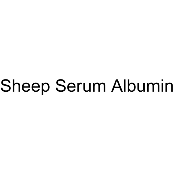 Sheep Serum Albumin