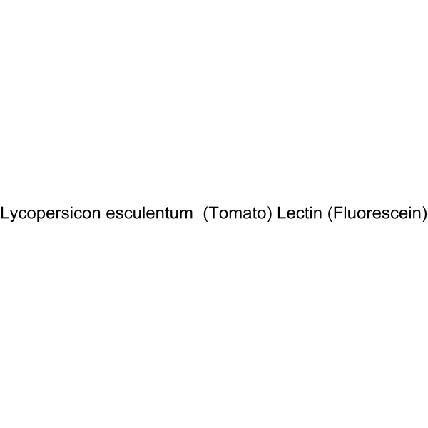 Lycopersicon esculentum  (Tomato) Lectin (Fluorescein)