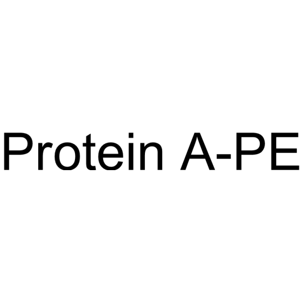 Protein A-PE