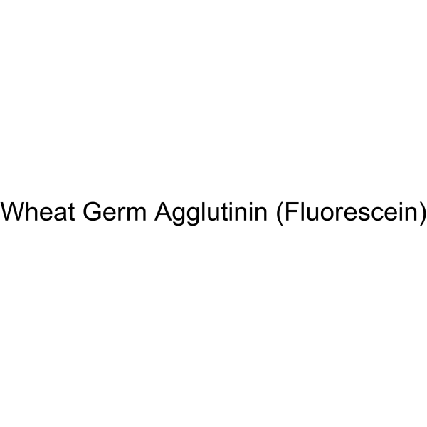 Wheat Germ Agglutinin (Fluorescein)