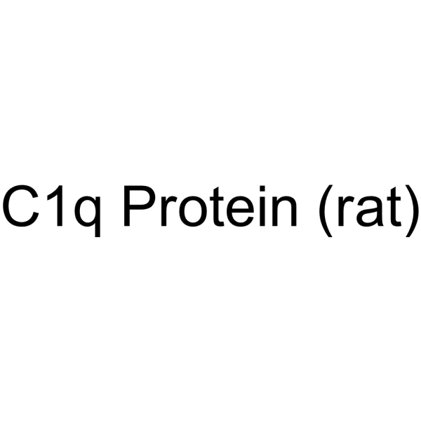 C1q Protein (rat)