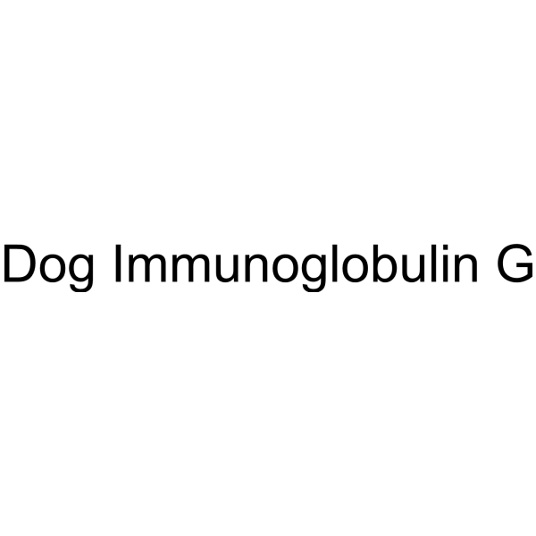 Dog Immunoglobulin G