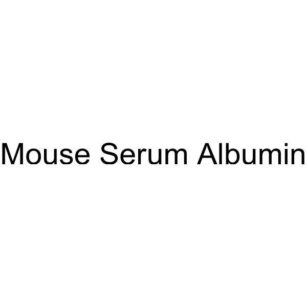 Mouse Serum Albumin