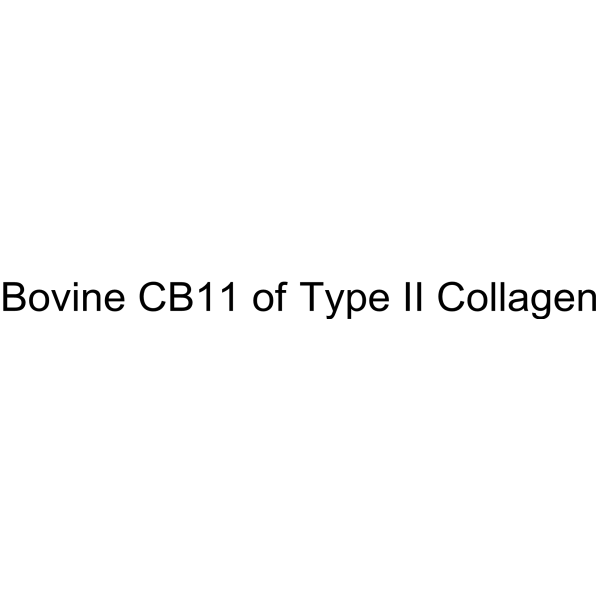 Bovine CB11 of type II collagen