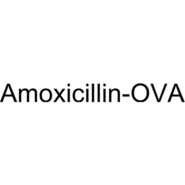 Amoxicillin-OVA
