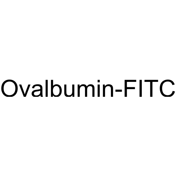 Ovalbumin-FITC