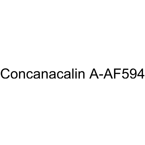 Concanacalin A-AF594