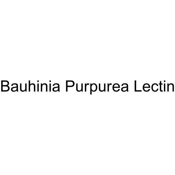 Bauhinia Purpurea Lectin