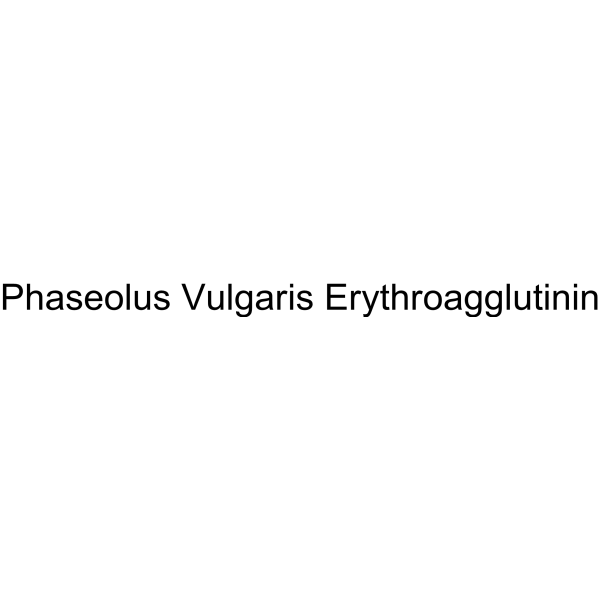 Phaseolus Vulgaris Erythroagglutinin