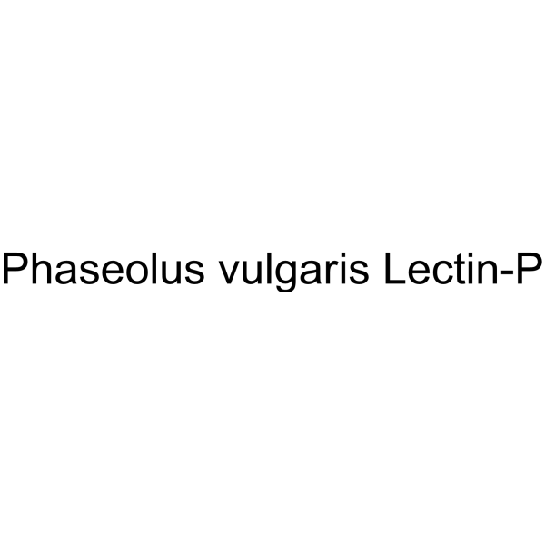 Phaseolus vulgaris Lectin-P