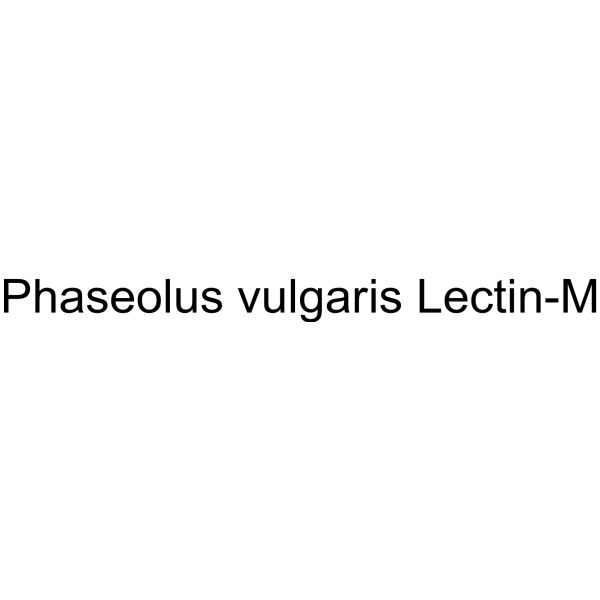 Phaseolus vulgaris Lectin-M