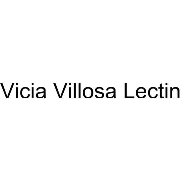 Vicia Villosa Lectin