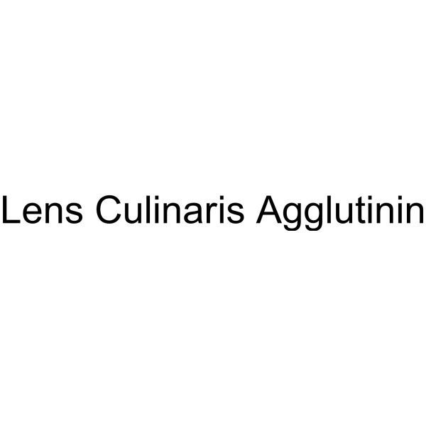 Lens Culinaris Agglutinin