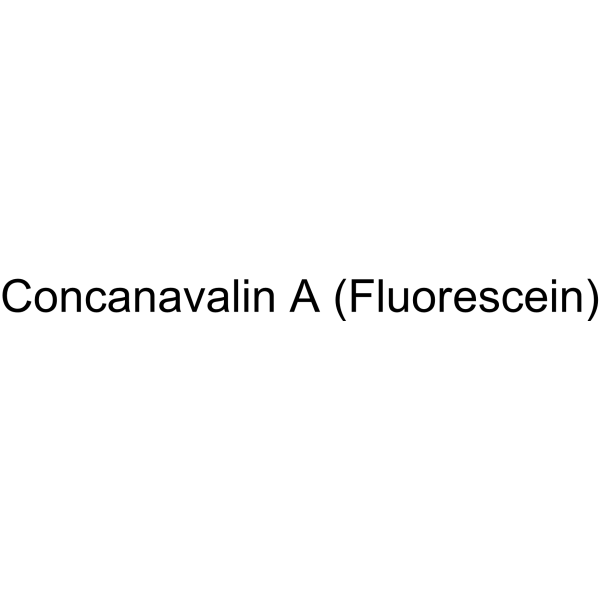Concanavalin A (Fluorescein)