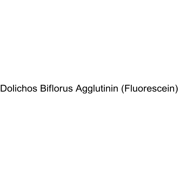 Dolichos Biflorus Agglutinin (Fluorescein)