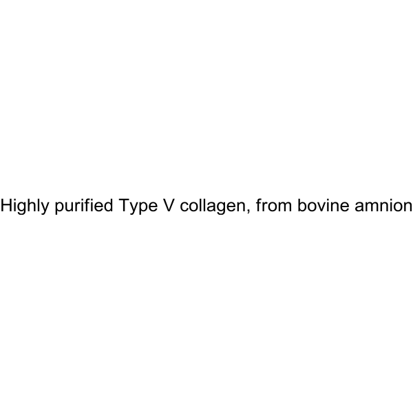 Highly purified Type V collagen, from bovine amnion