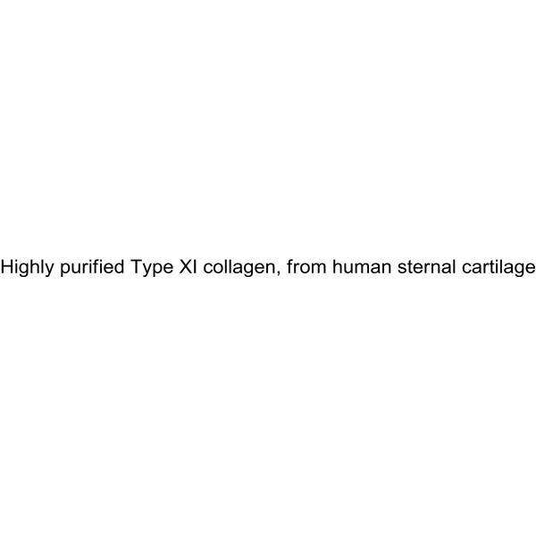 Highly purified Type XI collagen, from human sternal cartilage