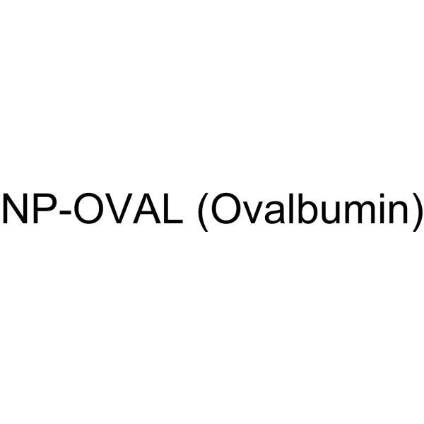 NP-OVAL (Ovalbumin)