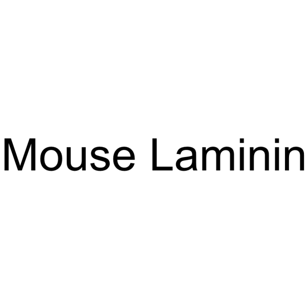 Mouse Laminin