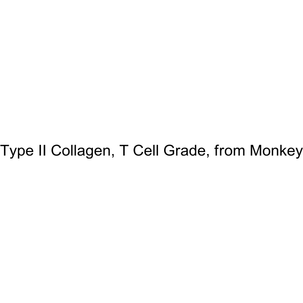 Type II Collagen, T Cell Grade, from Monkey