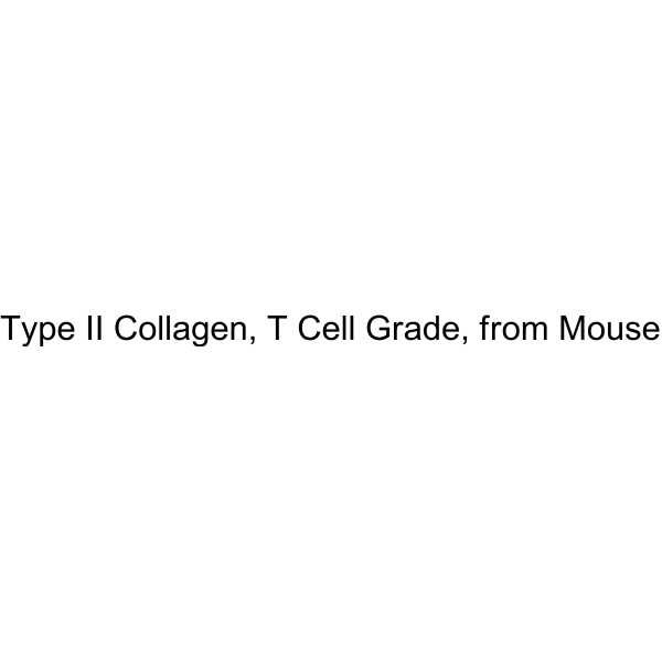 Type II Collagen, T Cell Grade, from Mouse