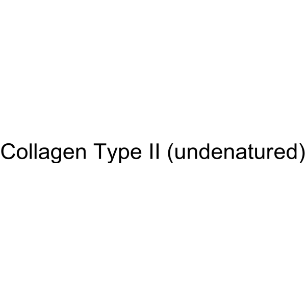 Collagen Type II (undenatured)