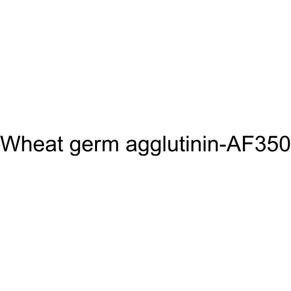 Wheat germ agglutinin-AF350