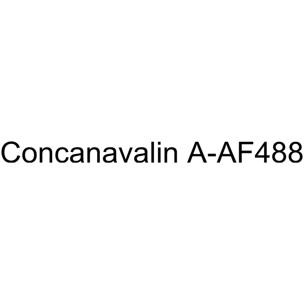Concanavalin A-AF488